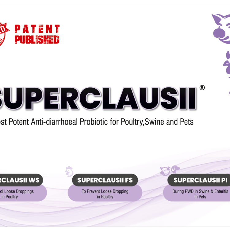 SUPERCLAUSII